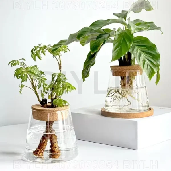 2/1 Pcs Hydroponic Plants Glass Flower Pots